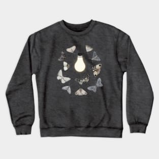 Moths to a Light Crewneck Sweatshirt